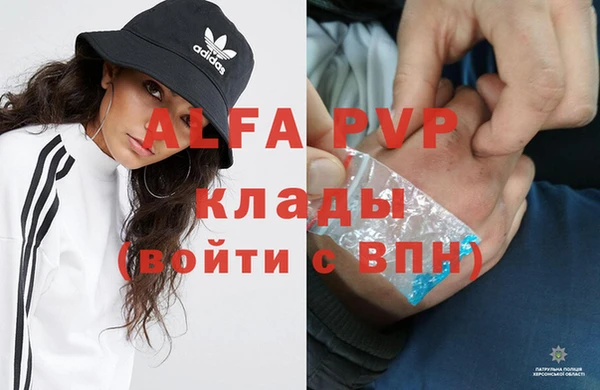 PSILOCYBIN Покачи