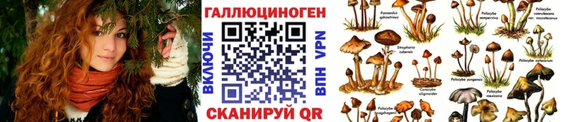 Псилоцибиновые грибы мицелий  где продают наркотики  Каневская 